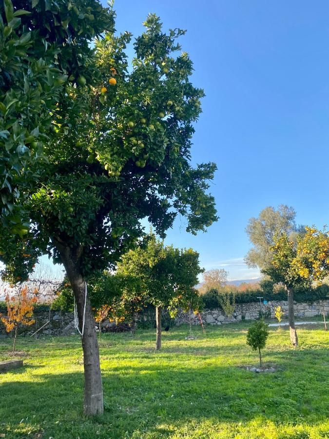 Crespos Quinta De Areias B&B 외부 사진