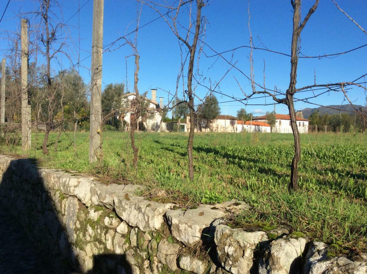 Crespos Quinta De Areias B&B 외부 사진